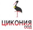 ЦИКОНИЯ ООД